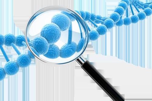 領先世界的精準癌癥基因檢測技術登陸中國 落戶暨南大學附屬復大腫瘤醫院
