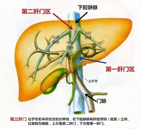 ny23_158945.png image.png