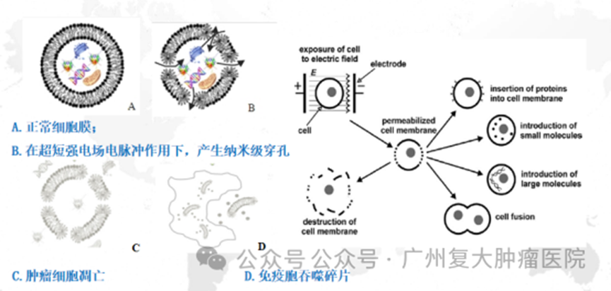 ny23_443205.png image.png