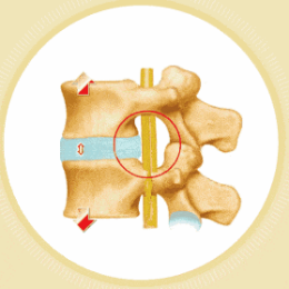 baih08_423188.png baih08_423188.png